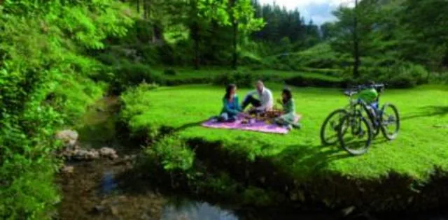 Picnic sobre ruedas: Los secretos de Gorbeia en btt