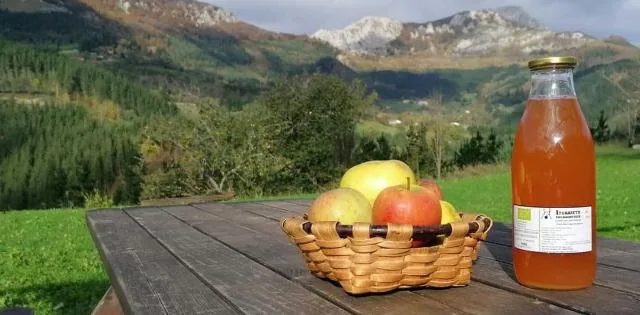 Saborea la Suiza vasca