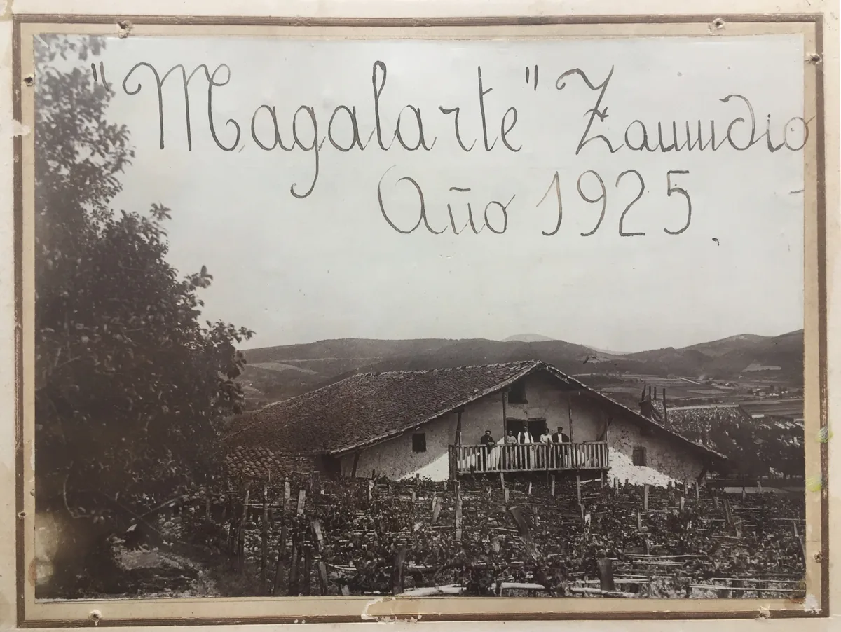 Magalarte Zamudio Txakolina