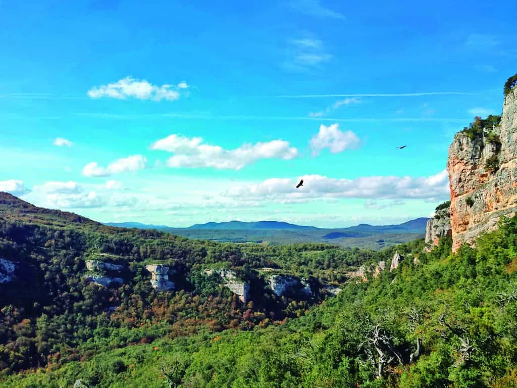 Señorio de las Viñas