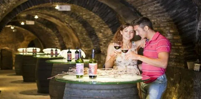 Bodega El Fabulista. Tradición en Rioja Alavesa