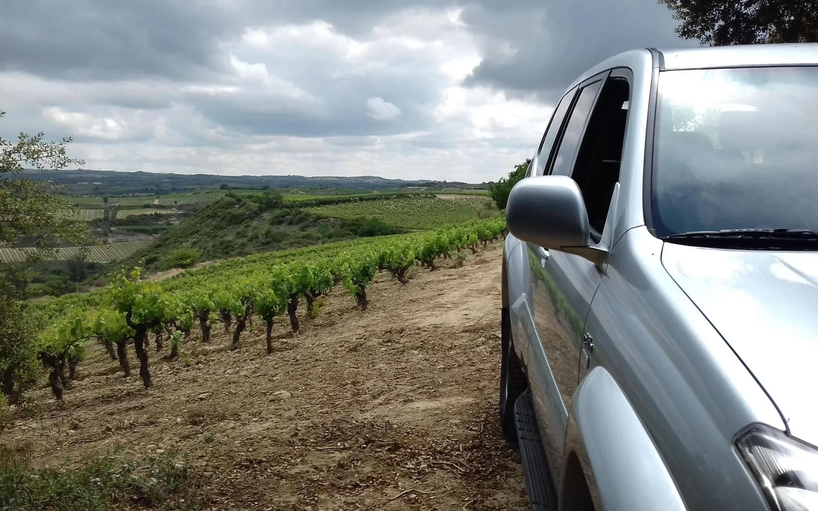 Experiencia en viñedo en jeep 4x4 con picnic en Bodegas Palacio
