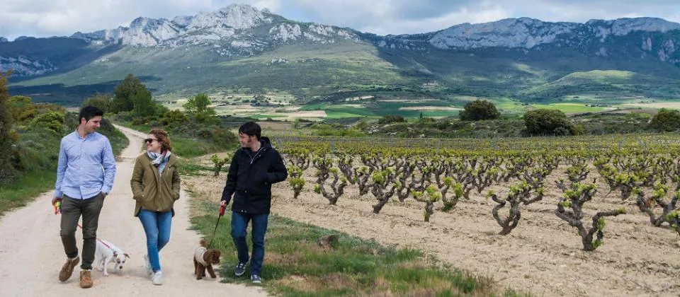 Rioja Alavesa con perro
