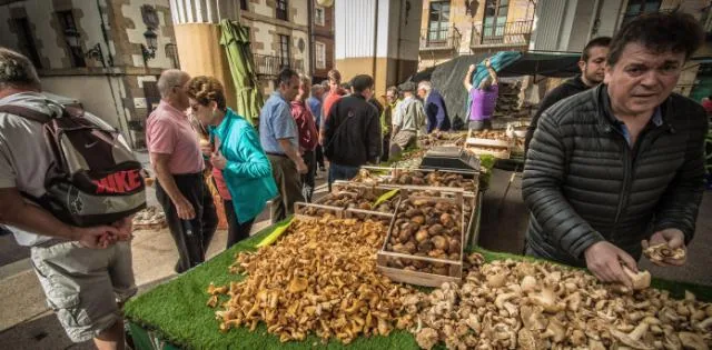 El origen de la gastronomía vasca