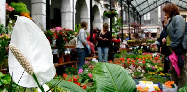 Tolosa, villa de comerciantes