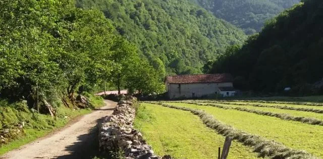 Un día en el entorno natural de Izarraitz, declarado zona especial de conservación