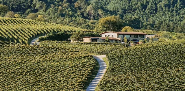 Hiruzta Bodega